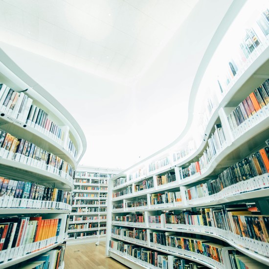 XV Jornadas da Rede de Bibliotecas da Maia